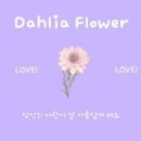살롱드달리아 | 오락필름 X 제휴샵 안내
