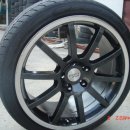 스포르텍 이미지