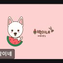 행복한미용실 | {인천, 애견미용실, 추천!) 수박이네 인천 수박이네, 맞춤 케어로 인기