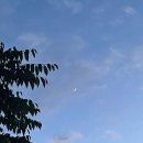 영웅이네펜션 이미지