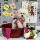 쌍령동-8 이미지