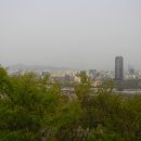 [서울] 개나리의 성지, 응봉산 봄꽃 나들이 ~~~ (응봉산 개나리축제, 독서당공원, 중랑천 살곶이다리) 이미지