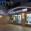 원스동물병원 | 용산구 청파동 동물병원 원스동물병원 위치 오는길 후기
