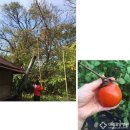 의료법인 명일의료재단 이미지