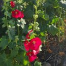 학산1리마을회관 이미지