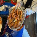 둘리포차 | 율량동 술집 대하구이 맛집 둘리포차 방문후기