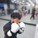 다한태권도장 이미지