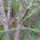 상희농장 이미지