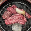 우테일러 이미지