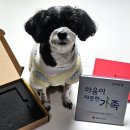 서부희망나눔봉사센터 | ep.3 대한적십자사 희망풍차사업 후원 기념품 및 명패 수령 후기, 후원 방법