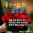 일요일 아침 인사말 gif 이미지 이미지