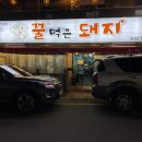 꿀먹은돼지 이미지