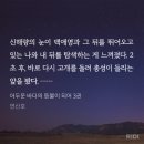 제4기 영어키움반 | 「たった⼀つの命で」