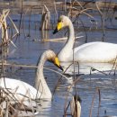 합덕수리민속박물관 이미지