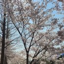 창원대로-1 이미지