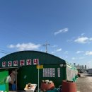 고향해물찜칼국수 | 서산조개구이 맛집 덕수여동생점 가리비찜 해물칼국수 솔직후기