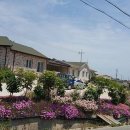 소안도 미소펜션 이미지