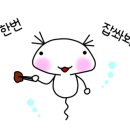 아마레(AMARE) 이미지