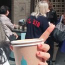 젤라또팔레트 이미지