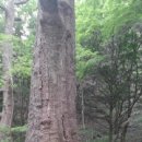 백양사한의원 이미지