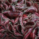 거북이한의원 이미지