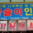 곱슬이인삼집