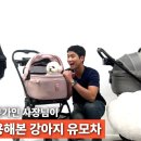 타이어테크 기흥구점 | 유모차 전문가가 직접 써보고 분석한 &#39;뉴나 타보펫츠&#39; 강아지 유모차 역대급 이네요.