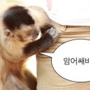 소희목장 이미지