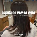 강남 헤어샵 블랙헤어 염색추천: 박승철 헤어 스튜디오💈유진쌤의 염색 시술 후기