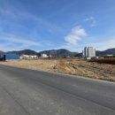 신기리 도로변 이미지