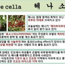 우전화학 이미지