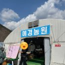 주)예경 | 원동 매화 축제 미나리 삼겹살 맛집 예경농원