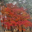 장수헬스클럽 이미지