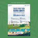 [부산 아이패드드로잉 디지털드로잉] 나른화실의 개별맞춤수업으로 그리고싶은 그림을 배워요!!