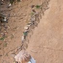 갈뫼어린이공원 이미지