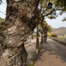 덕천민속마을 이미지