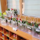 한빛초교(병설) 이미지