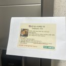 첫 체험단!??건밀그린 시식후기