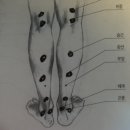 다리가 저리고 땡기고 힘줄이 아플때 (파스요법) 이미지