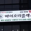 바이오리플렉스