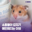 서원동물병원 이미지