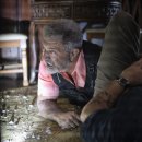 Force of Nature 이미지