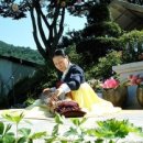 연화축사 Daum카페
