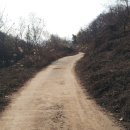 붕어의 신 이미지