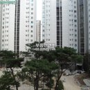 소나무헬스클럽 이미지