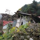 주막거리캠프 이미지