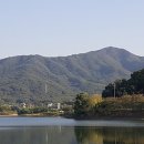 백운행정사사무소 이미지