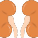 아미비뇨기과의원 이미지