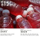 평창천년삼 이미지