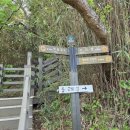 작약 태양광발전소 이미지